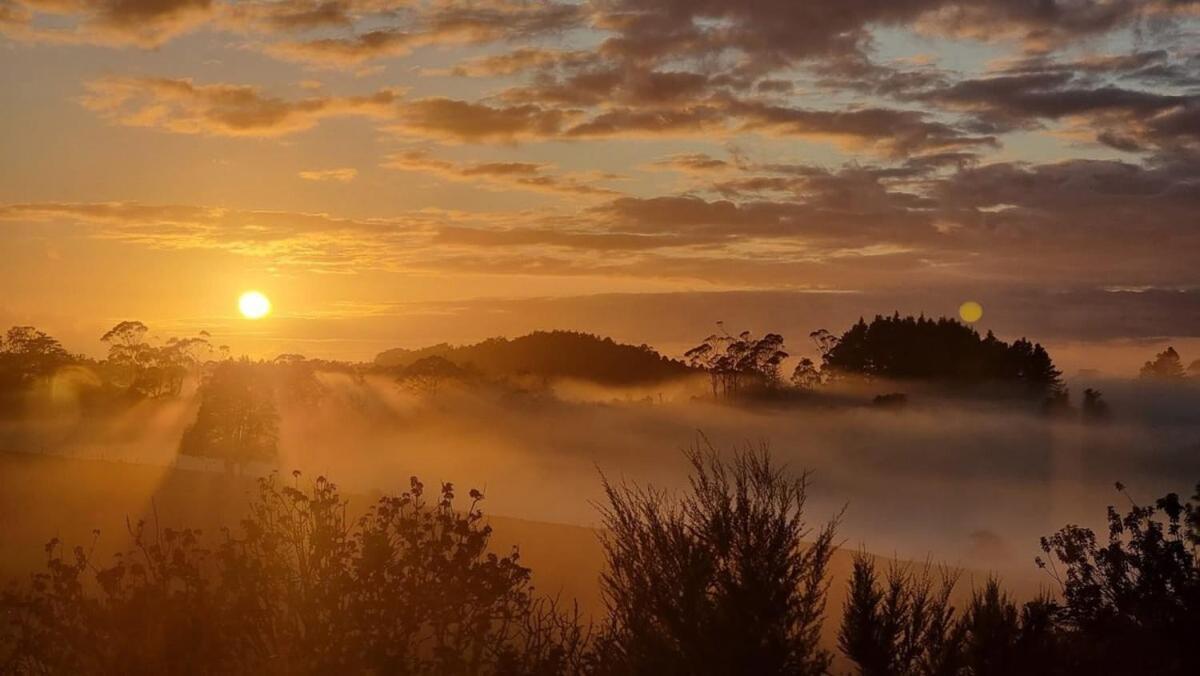 The Kauri Getaway By Tiny Away Villa Waitoki Dış mekan fotoğraf